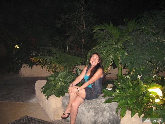 14266_holiday_august_2010.jpg
